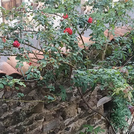 Rum i privatbostad Aux Rosiers Rouges